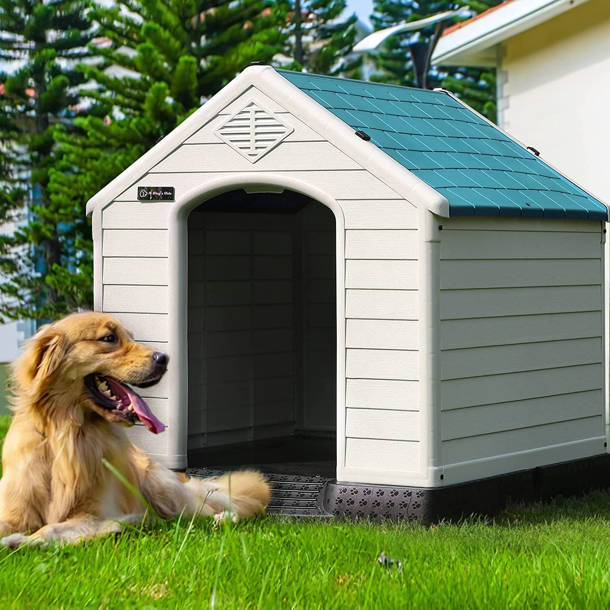 Image showcasing Precision Pet Soft Sided Dog Pen & Reviews | Wayfair